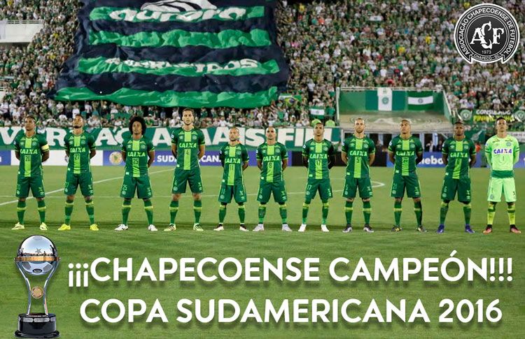 chaoe-campeon-750px