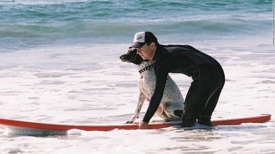 150212145650-weird-travel-job-dog-surfing-instructor-loews-coronado-bay-resort-and-spa-super-169
