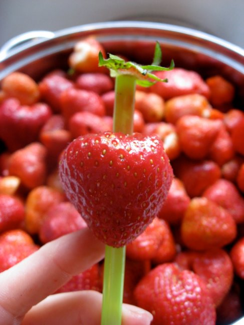 strawberry_straw