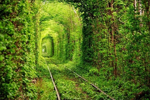 tunnel_lubvi