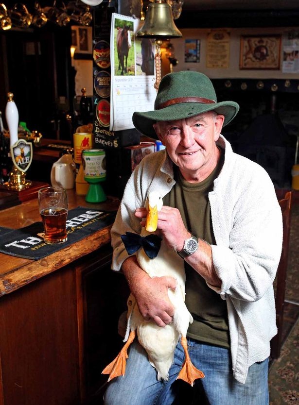 561b6aac27a0c_pay-barry-hayman-with-his-pet-star-the-duck