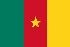 flag_of_cameroon