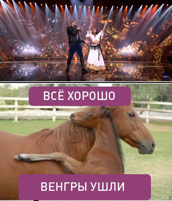 Евровидение-2017 в мемах и фотожабах